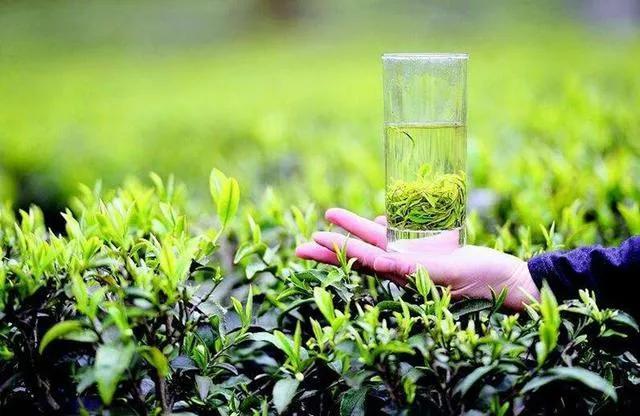 恩施富小硒富茶（恩施富硒茶）-硒宝网