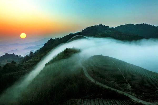 富锌富硒茶好处（富硒茶好吗）-硒宝网