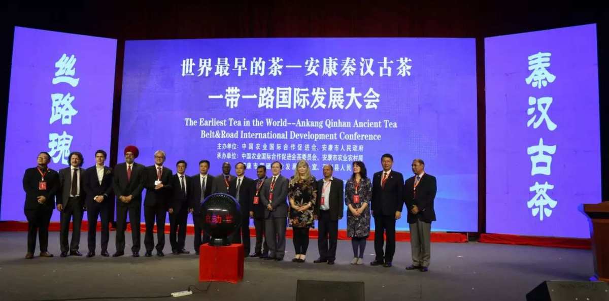 富硒茶2019（富硒茶叶）-硒宝网