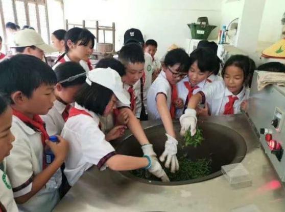 池州富锌富硒茶(池州富硒村)-硒宝网