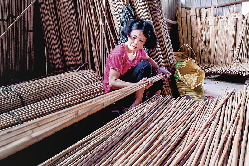 富锌富硒茶之乡（富锌富硒茶功效）-硒宝网