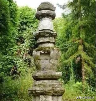 秋茶紫阳富硒茶（紫阳富硒茶山）-硒宝网