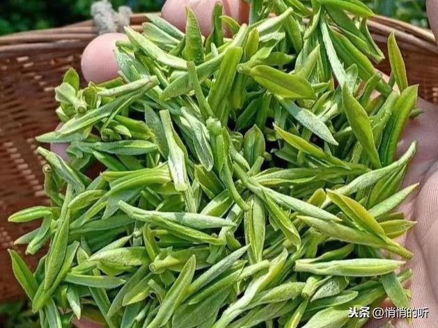 秋茶紫阳富硒茶（紫阳富硒茶山）-硒宝网