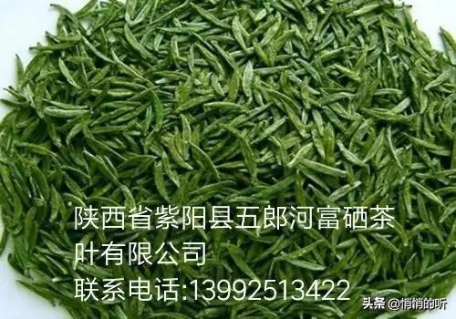 秋茶紫阳富硒茶（紫阳富硒茶山）-硒宝网