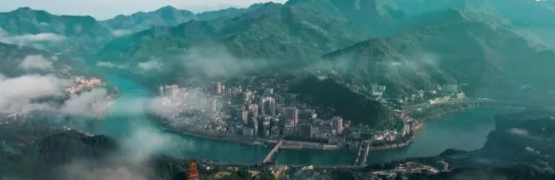 西安茶城富硒茶（陕西富硒茶的功效与作用）-硒宝网