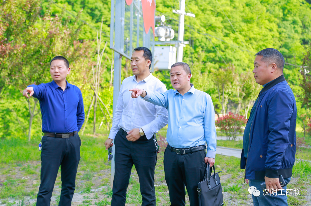 茶乡阿梅富硒茶（梅州富硒茶）-硒宝网