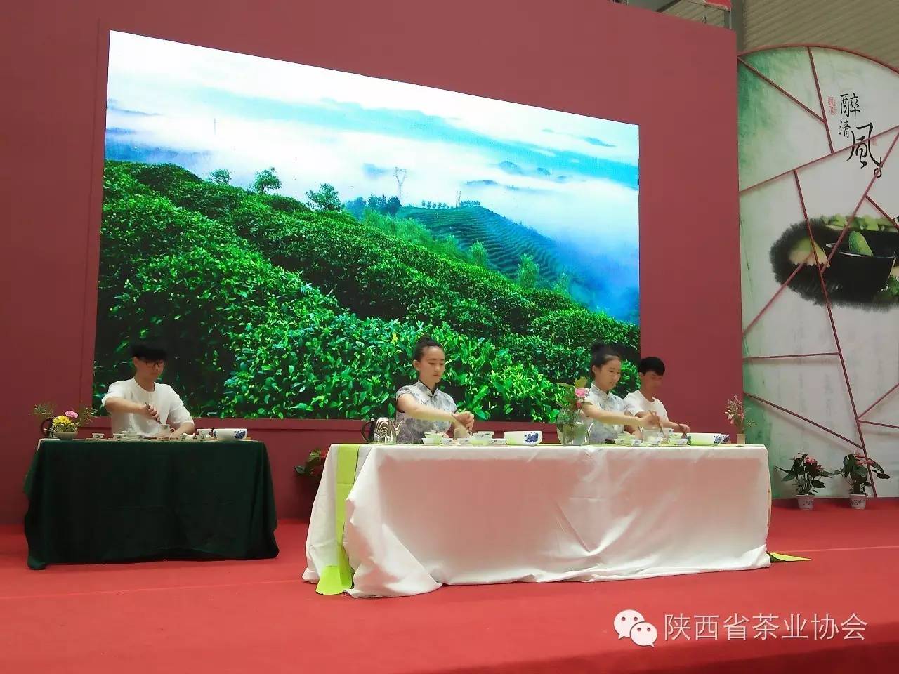 西安茶城富硒茶（陕西富硒茶属于什么茶）-硒宝网