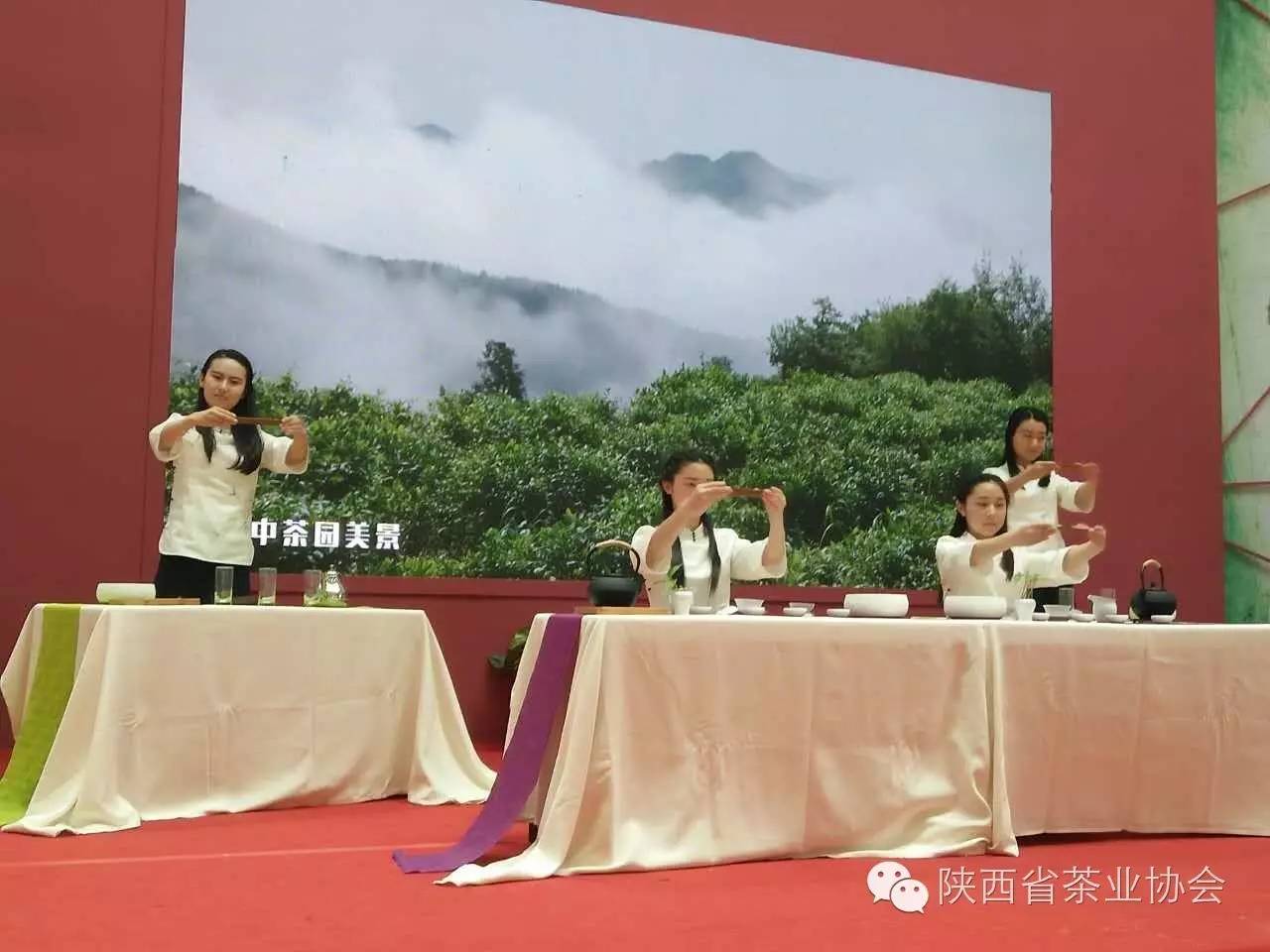 西安茶城富硒茶（陕西富硒茶属于什么茶）-硒宝网