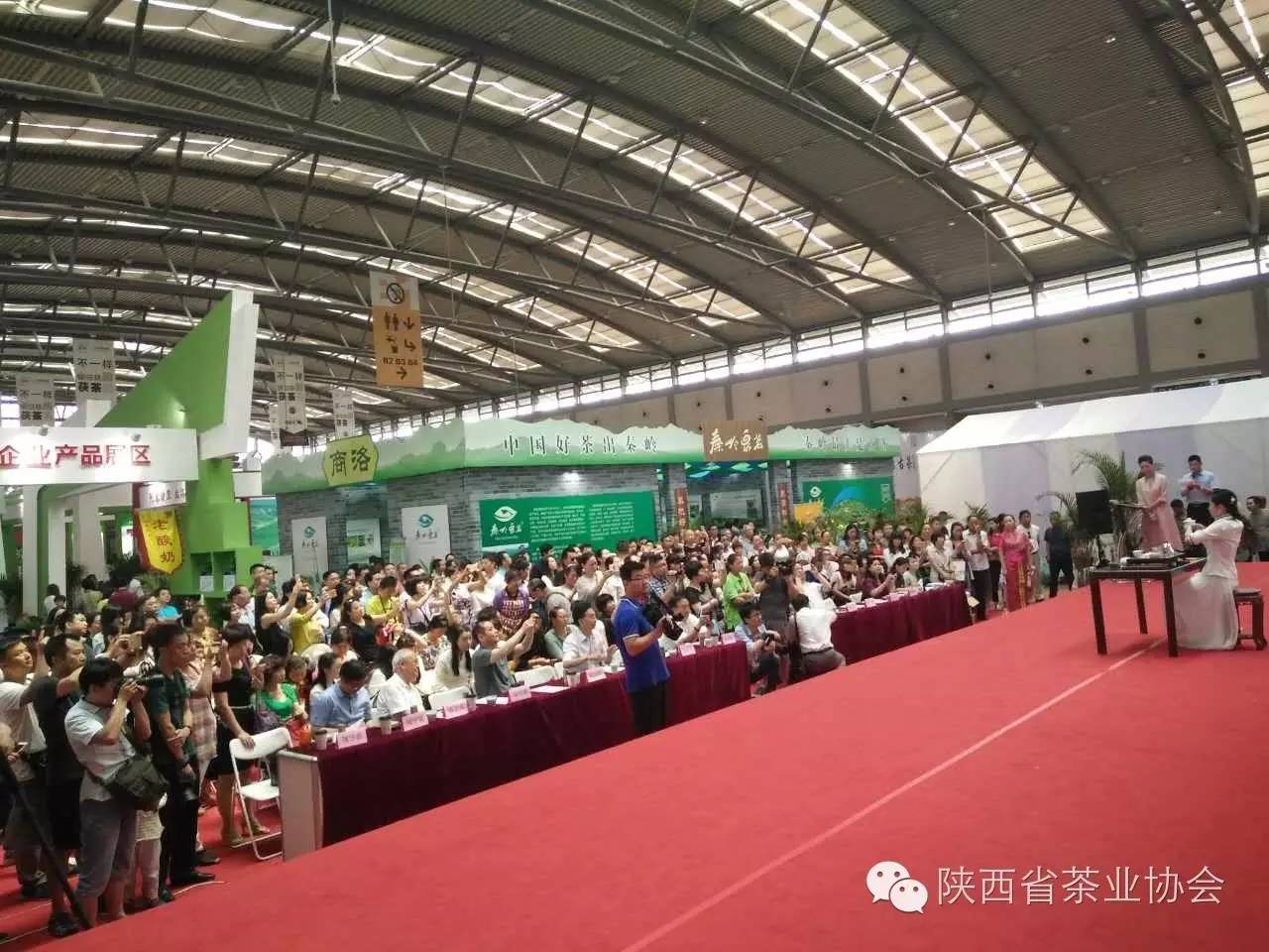 西安茶城富硒茶（陕西富硒茶属于什么茶）-硒宝网