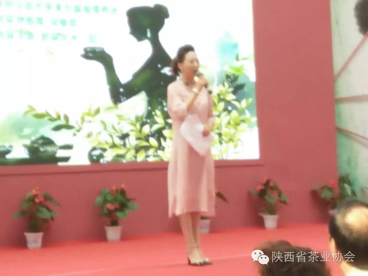 西安茶城富硒茶（陕西富硒茶属于什么茶）-硒宝网