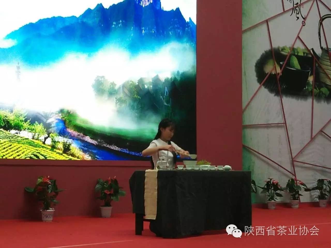 西安茶城富硒茶（陕西富硒茶属于什么茶）-硒宝网