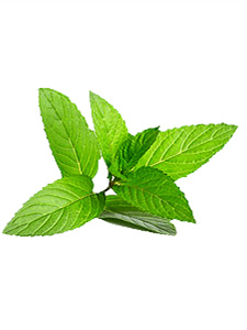 富硒茶有哪些茶(富硒茶真的含硒元素吗)-硒宝网