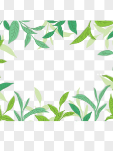 富硒茶 普洱茶（普洱茶硒含量）-硒宝网