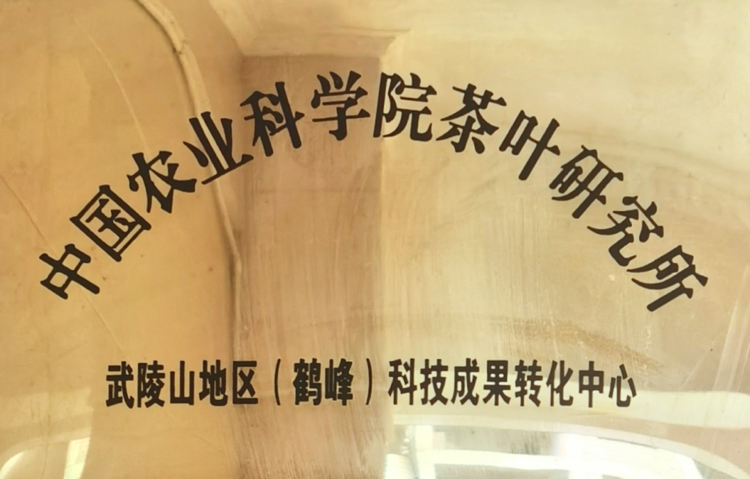 那些茶是富硒茶(富硒茶和普通茶的区别)-硒宝网