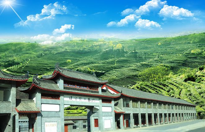 那些茶是富硒茶（富硒茶真的含硒元素吗）-硒宝网