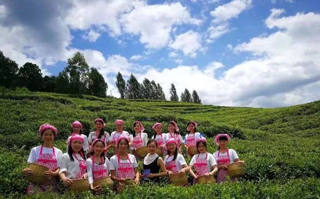 那些茶是富硒茶（富硒茶真的含硒元素吗）-硒宝网