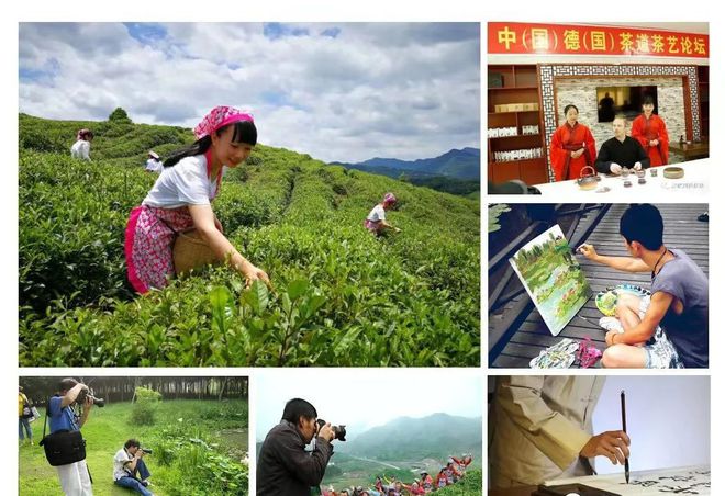 那些茶是富硒茶（富硒茶真的含硒元素吗）-硒宝网