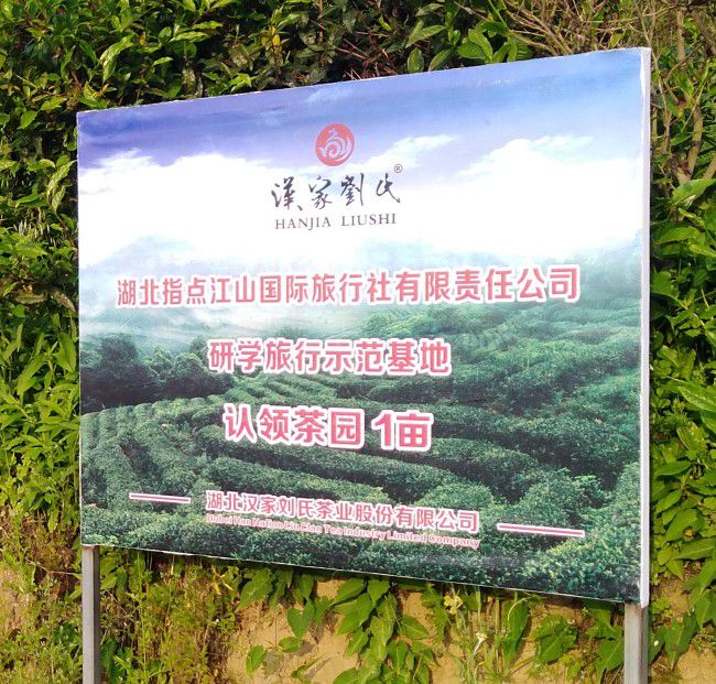 那些茶是富硒茶（富硒茶真的含硒元素吗）-硒宝网