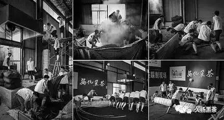 安化黑茶富硒茶（安化黑茶含硒有何证据）-硒宝网