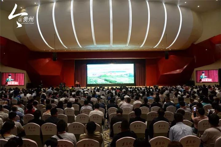 原生富硒茶黄茶(富硒黄金茶怎样冲泡)-硒宝网