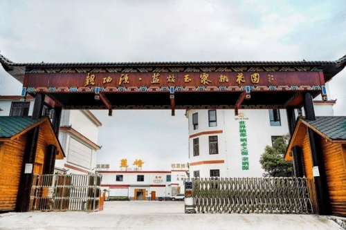 富硒茶和玉露茶(恩施玉露富硒茶多少钱)-硒宝网