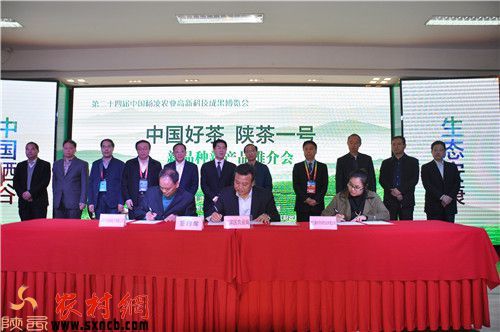 安康富硒茶白茶(安康茶白茶富硒含量多少)-硒宝网