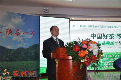 安康富硒茶白茶(安康茶白茶富硒含量多少)-硒宝网