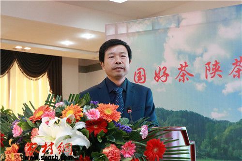 安康富硒茶白茶(安康茶白茶富硒含量多少)-硒宝网