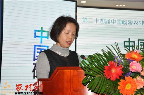 安康富硒茶白茶(安康茶白茶富硒含量多少)-硒宝网