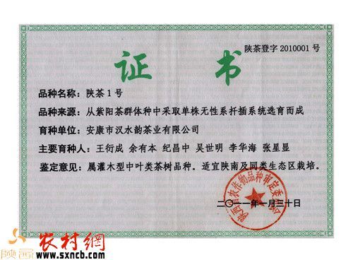 安康富硒茶白茶(安康茶白茶富硒含量多少)-硒宝网