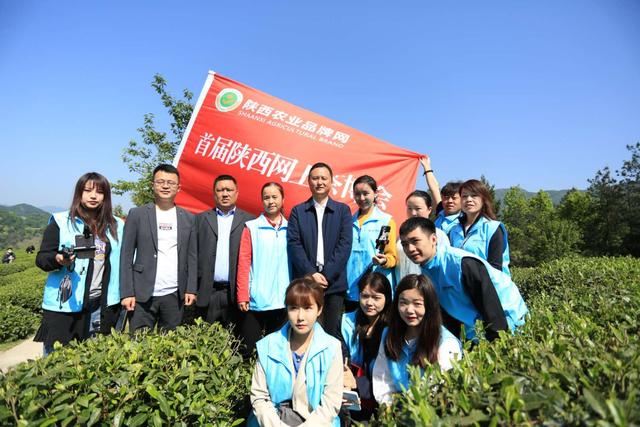 安康富硒茶怎样(安康富硒茶多少钱一斤)-硒宝网