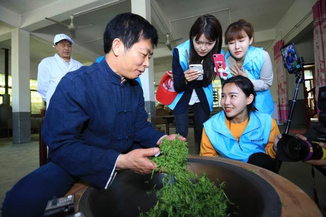 安康富硒茶怎样(安康富硒茶多少钱一斤)-硒宝网