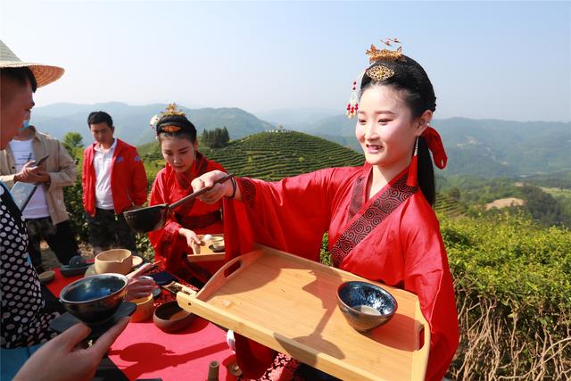 安康富硒茶怎样(安康富硒茶多少钱一斤)-硒宝网