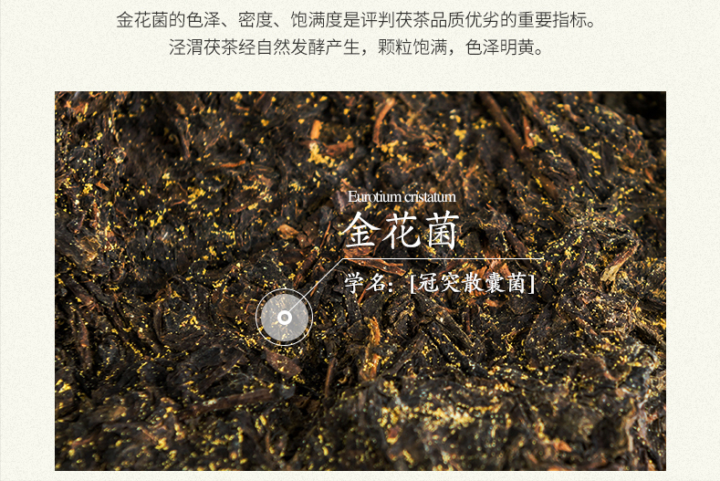 紫阳富硒茶橘茶（紫阳富硒茶茶树）-硒宝网