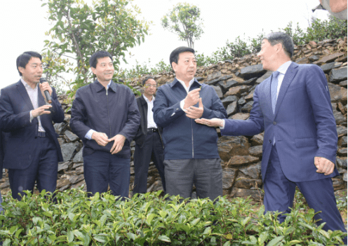 安康富硒茶优势(安康富硒茶是什么茶)-硒宝网