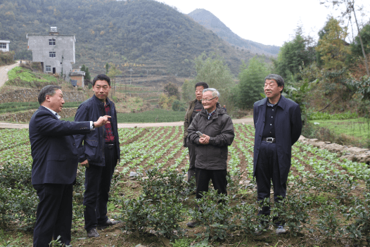 安康富硒茶优势(安康富硒茶是什么茶)-硒宝网