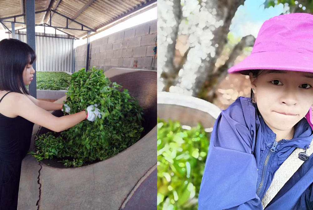 有机茶和富硒茶（富硒有机茶价钱）-硒宝网