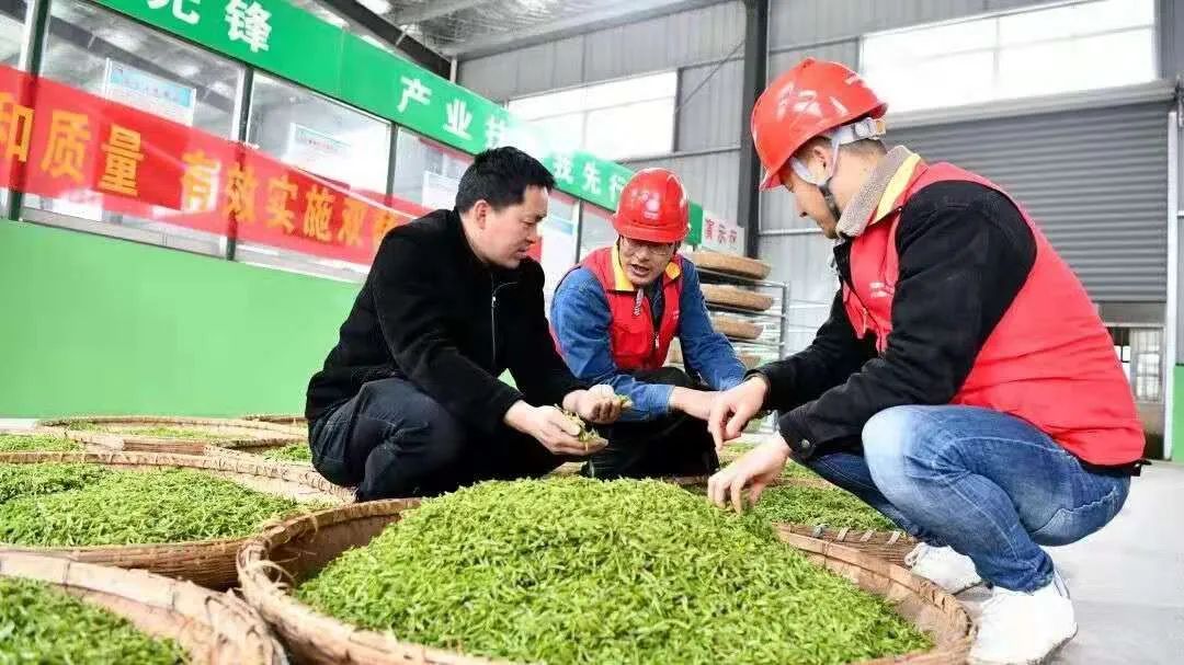 有机茶和富硒茶（富硒有机茶价钱）-硒宝网