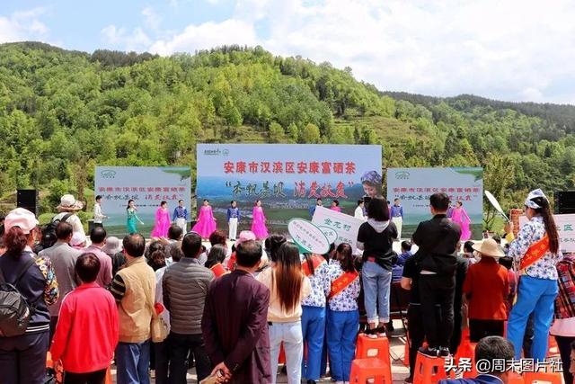 安康富硒茶优势（安康富硒茶的功效与作用）-硒宝网