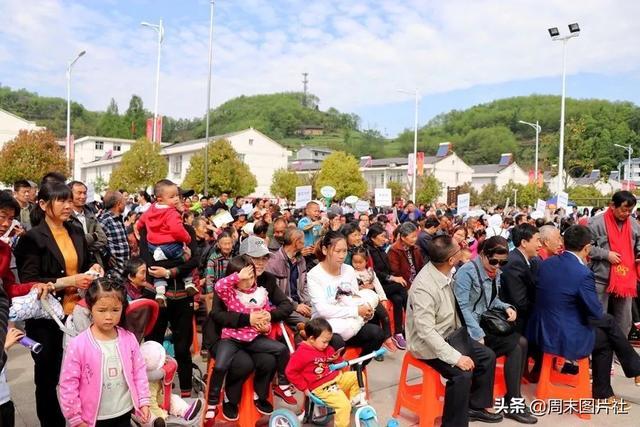 安康富硒茶优势（安康富硒茶的功效与作用）-硒宝网