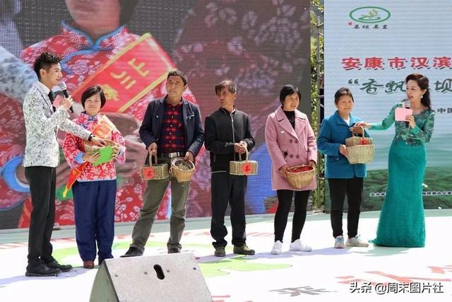 安康富硒茶优势（安康富硒茶的功效与作用）-硒宝网