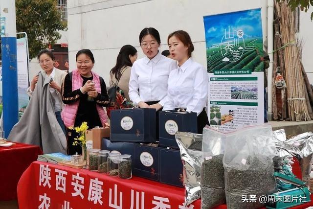 安康富硒茶优势（安康富硒茶的功效与作用）-硒宝网