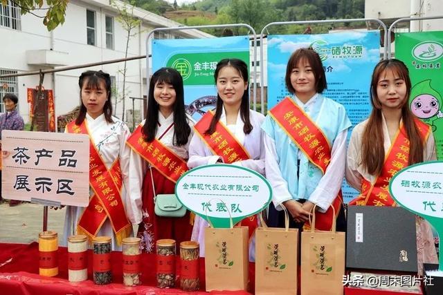 安康富硒茶优势（安康富硒茶的功效与作用）-硒宝网