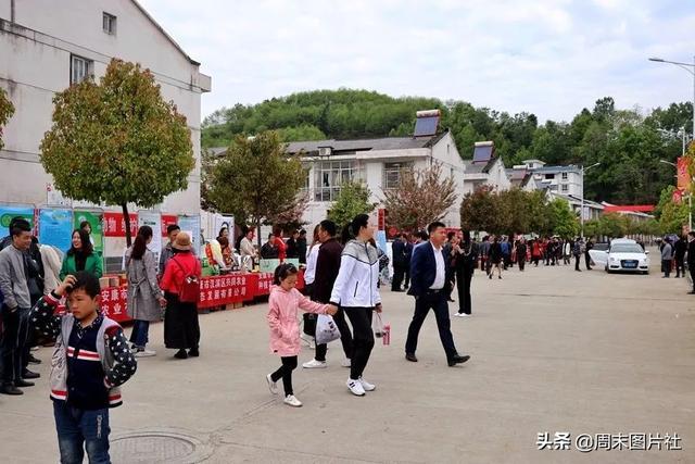 安康富硒茶优势（安康富硒茶的功效与作用）-硒宝网