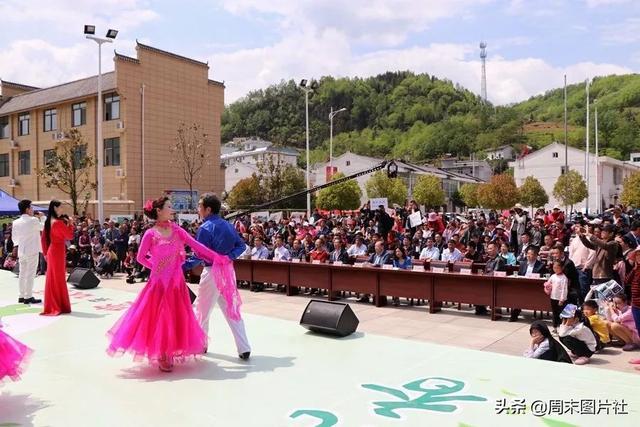 安康富硒茶优势（安康富硒茶的功效与作用）-硒宝网