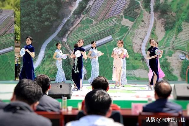 安康富硒茶优势（安康富硒茶的功效与作用）-硒宝网