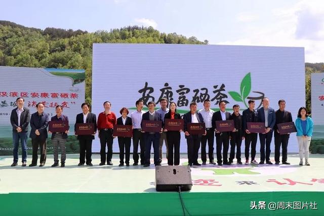 安康富硒茶优势（安康富硒茶的功效与作用）-硒宝网