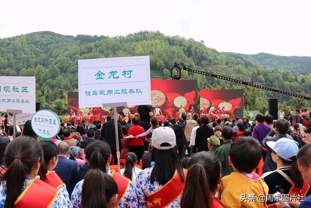 安康富硒茶优势（安康富硒茶的功效与作用）-硒宝网