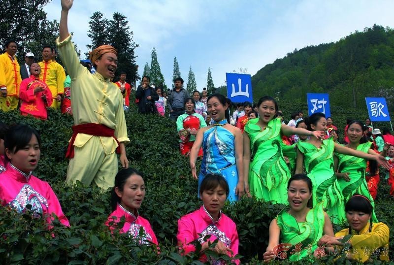 紫阳富硒茶包括(紫阳富硒茶硒含量)-硒宝网