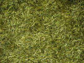 紫阳富硒茶绿茶(紫阳富晒绿茶)-硒宝网